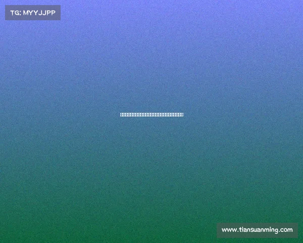 德甲足球明星风采:从顶级球员到未来之星的崛起与挑战